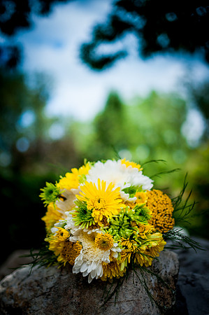 Soho Photography