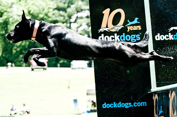 Woofstock 2010 -Soho Photography