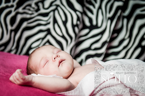 Soho Photography