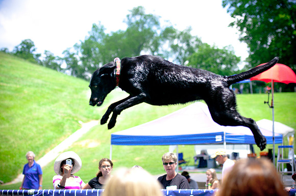 Woofstock 2010 -Soho Photography