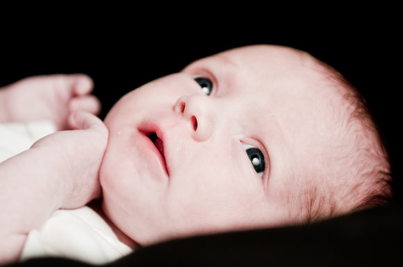Lily - Soho Photography
