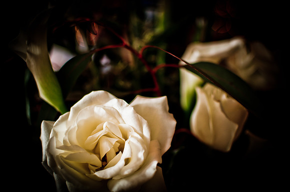 Soho Photography