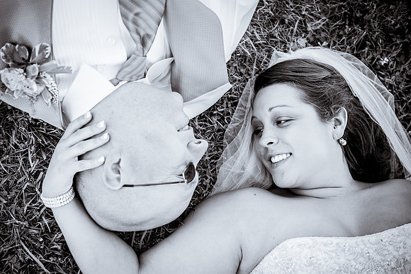 Soho Photography