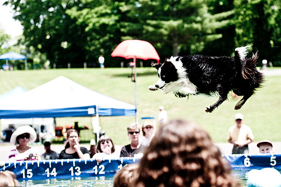 Woofstock 2010 -Soho Photography