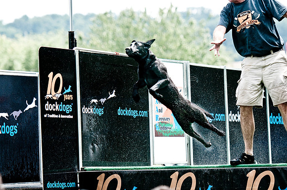 Woofstock 2010 -Soho Photography