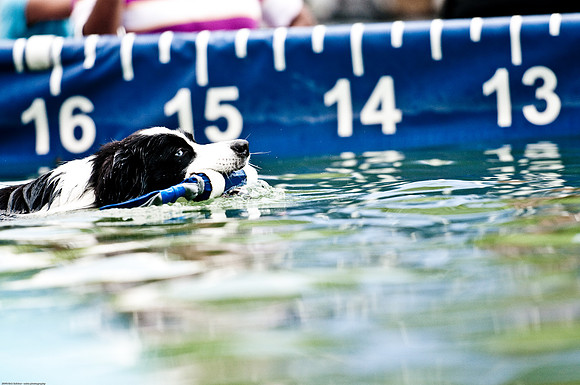 Woofstock 2010 -Soho Photography