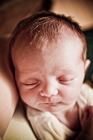 Lily- SOHO Photography (11 of 24)