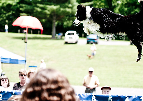Woofstock 2010 -Soho Photography