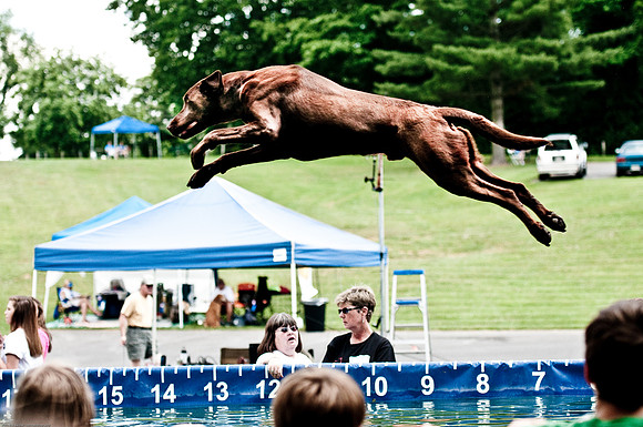 Woofstock 2010 -Soho Photography