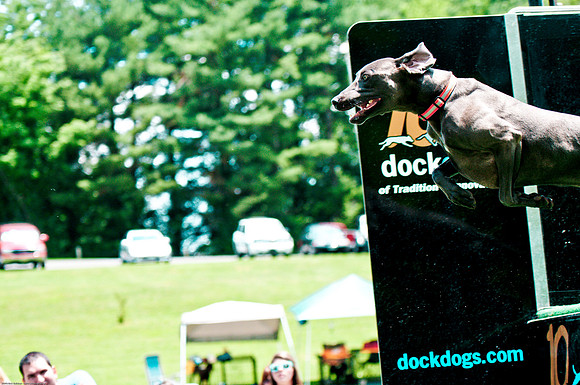 Woofstock 2010 -Soho Photography