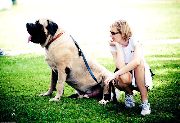 Woofstock 2010 -Soho Photography