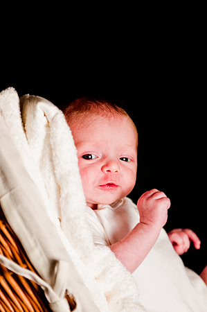 Lily - Soho Photography