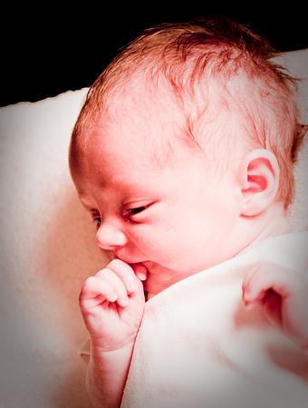 Lily - Soho Photography