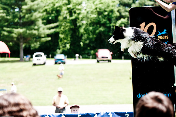 Woofstock 2010 -Soho Photography