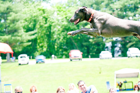 Woofstock 2010 -Soho Photography