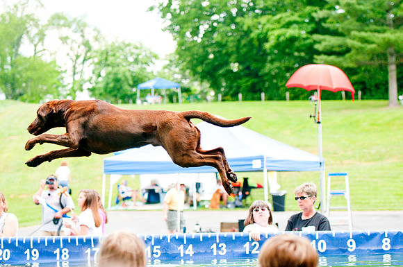 Woofstock 2010 -Soho Photography