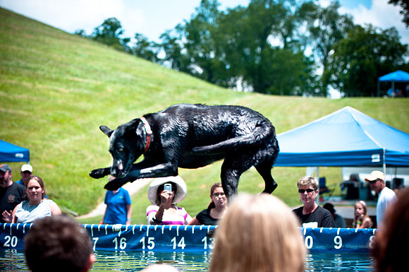 Woofstock 2010 -Soho Photography