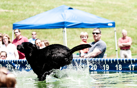 Woofstock 2010 -Soho Photography