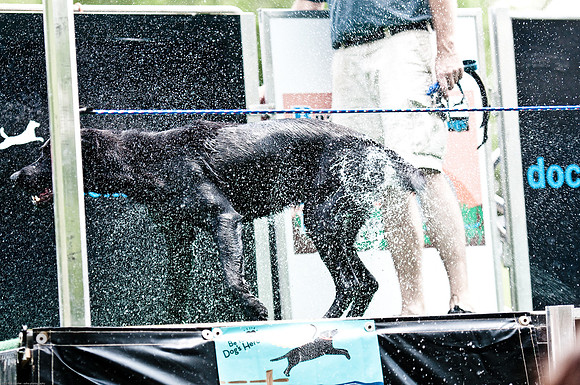 Woofstock 2010 -Soho Photography
