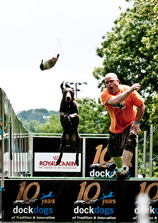 Woofstock 2010 -Soho Photography