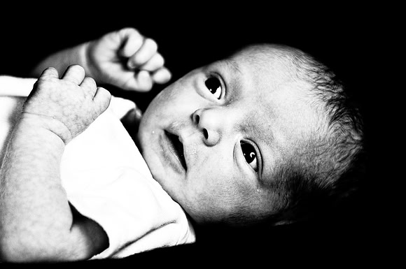 Lily - Soho Photography