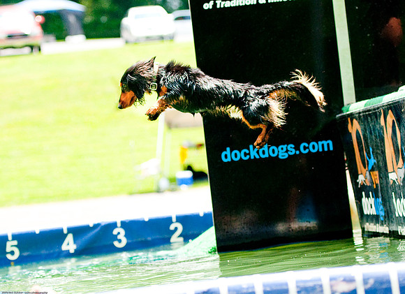 Woofstock 2010 -Soho Photography
