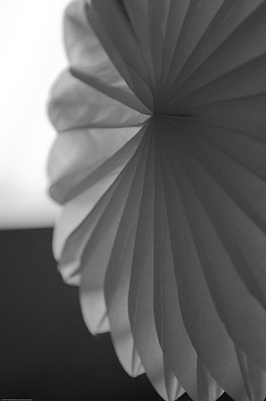 Pruitt Wedding - "Soho Photography"