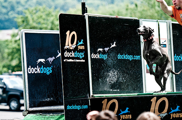 Woofstock 2010 -Soho Photography
