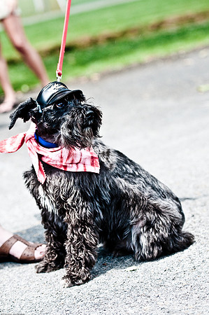 Woofstock 2010 -Soho Photography