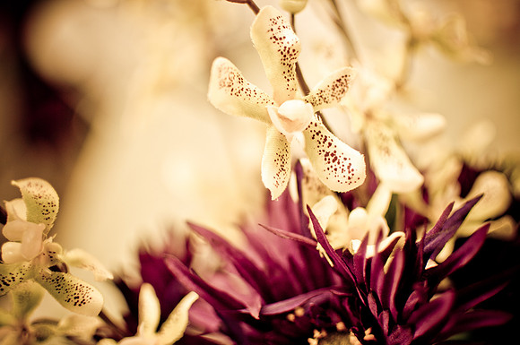 Soho Photography