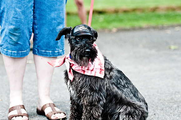 Woofstock 2010 -Soho Photography