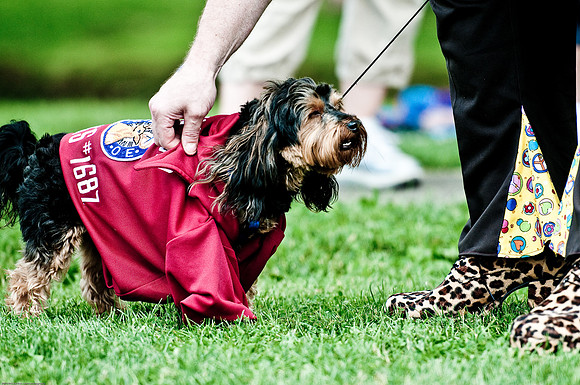 Woofstock 2010 -Soho Photography