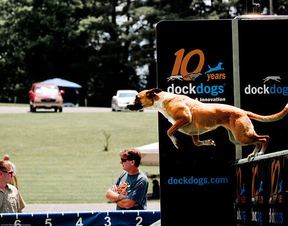 Woofstock 2010 -Soho Photography