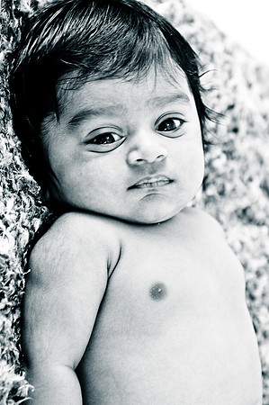 Soho Photography