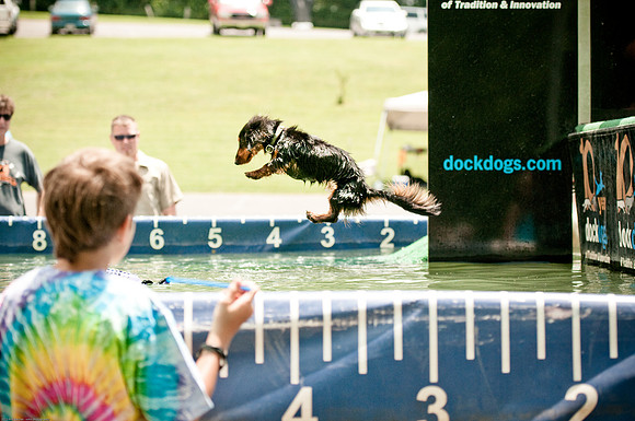 Woofstock 2010 -Soho Photography