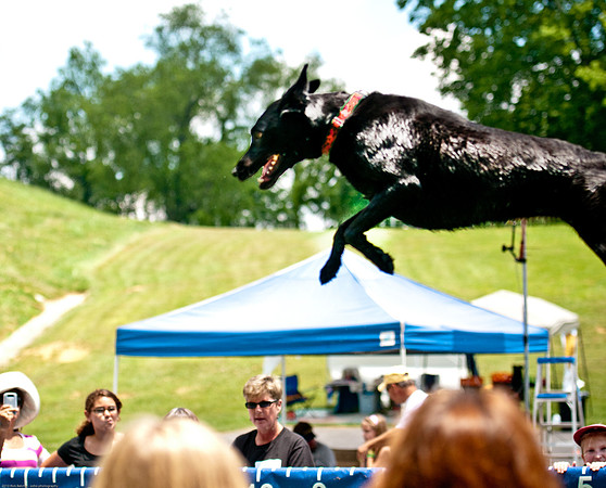 Woofstock 2010 -Soho Photography