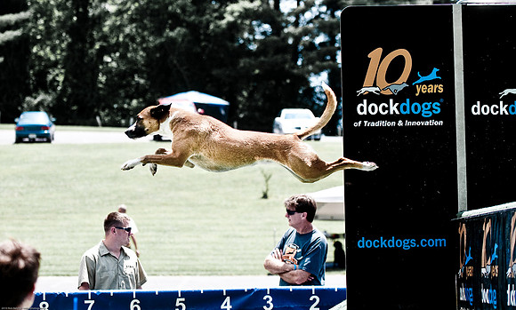 Woofstock 2010 -Soho Photography
