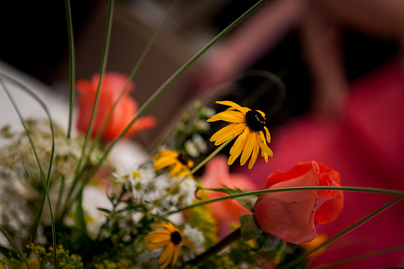Soho Photography