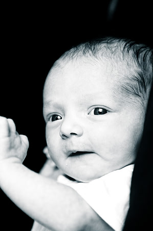 Lily - Soho Photography